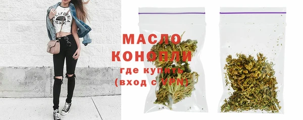 тгк Михайлов